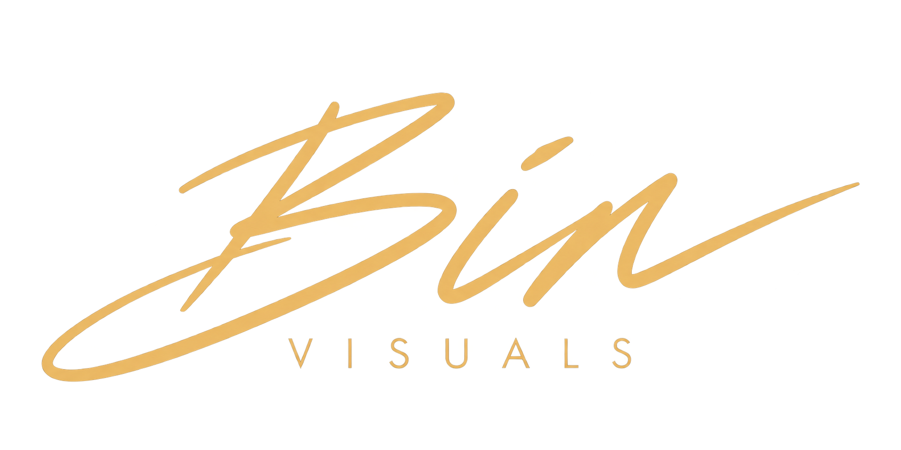 BIN VISUALS